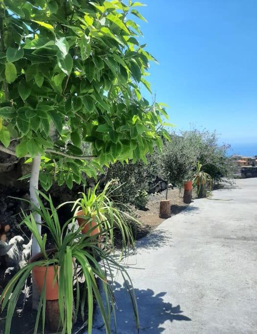 Mi Rinconcito Villa Los Llanos De Aridane Dış mekan fotoğraf